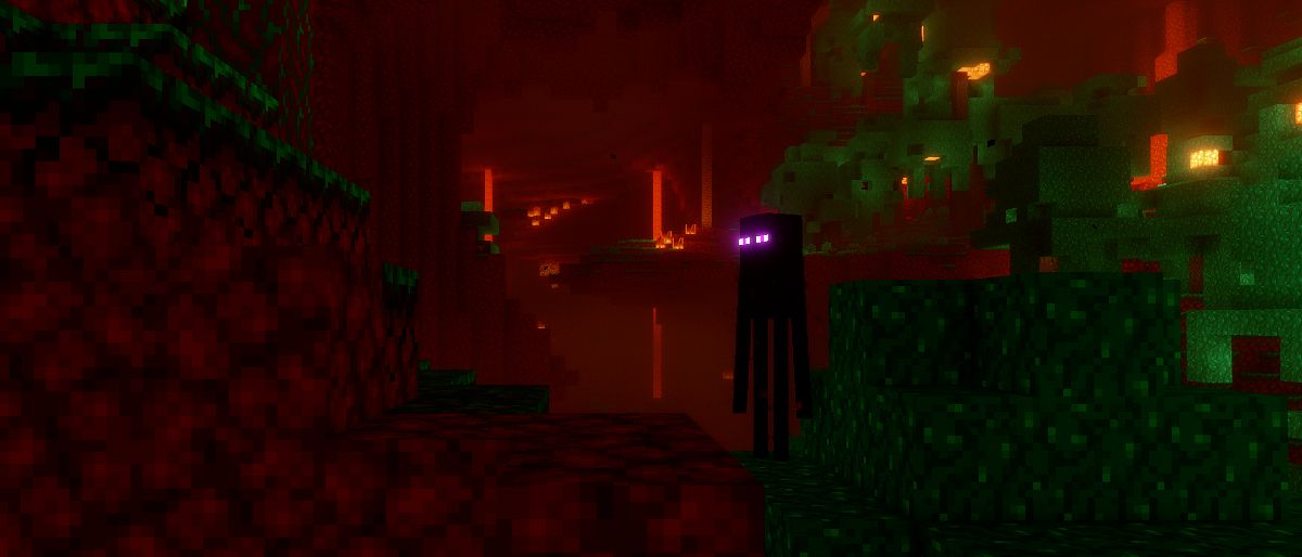 What Blocks Can An Enderman Pick Up In Minecraft