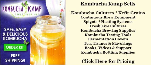 Kombucha During Pregnancy Webmd PregnancyWalls