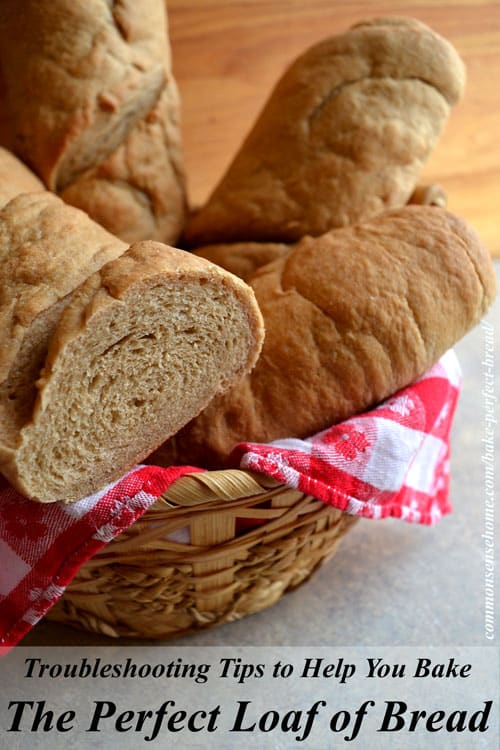 Troubleshooting Tips to Help Bake the Perfect Loaf of Bread