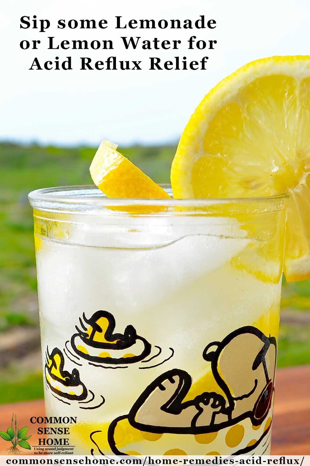 Heartburn Home Remedies Lemon Help Paleotraining Gastric Indigestion