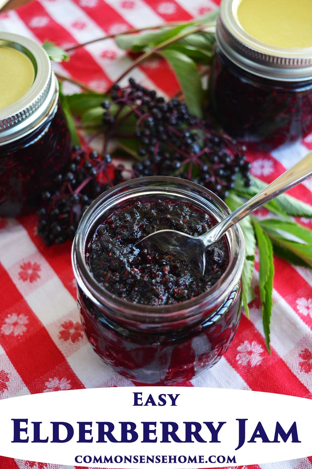 Easy Elderberry Jam Recipe with Less Sugar