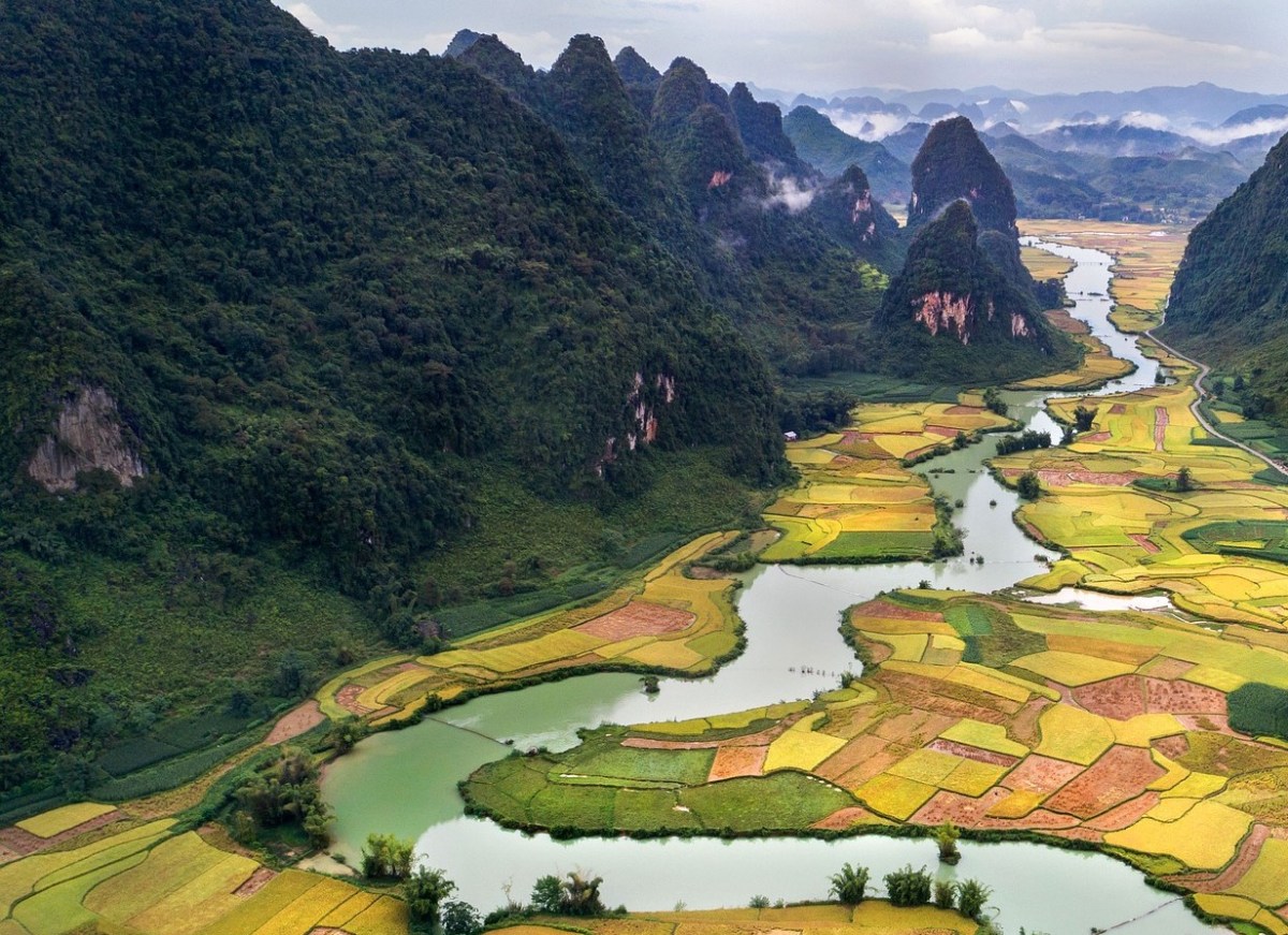 The View commonsensiblyspeaking