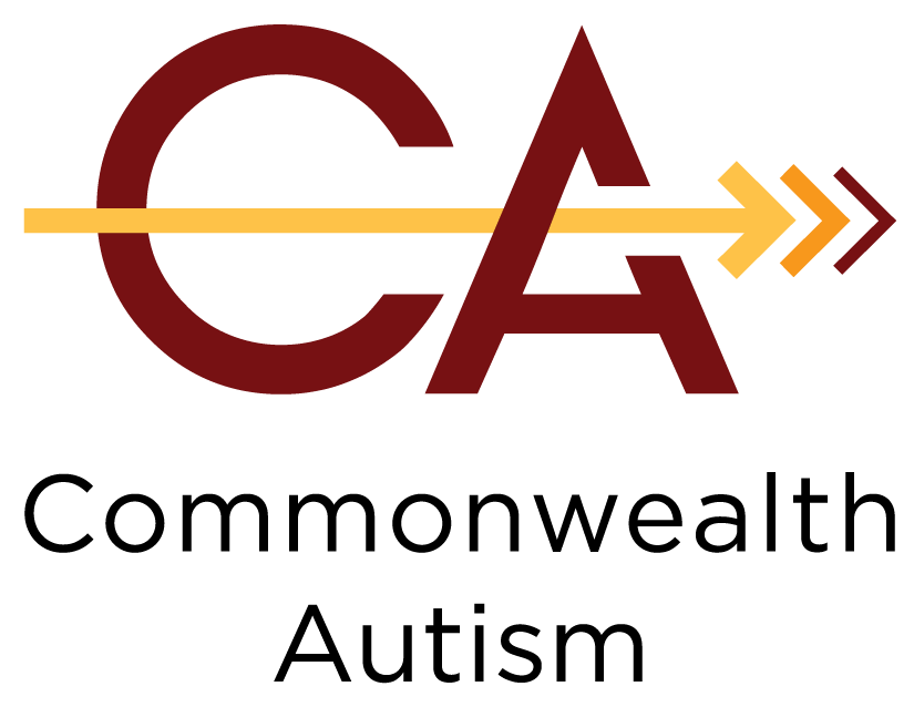 Village Behavior Health Commonwealth Autism