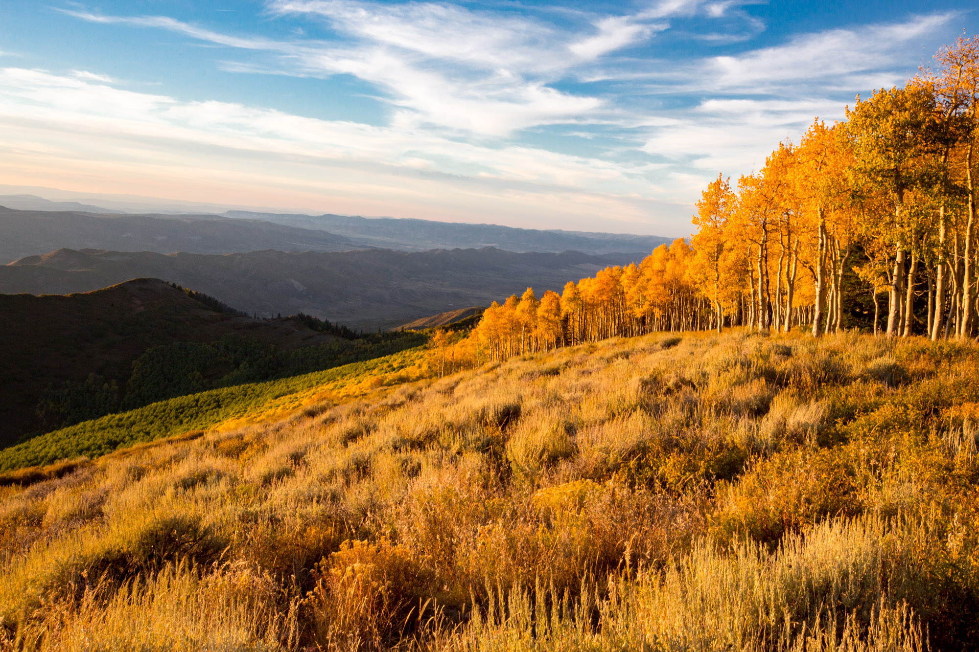 Commonwealth Title Company Title Services for Western Garfield County
