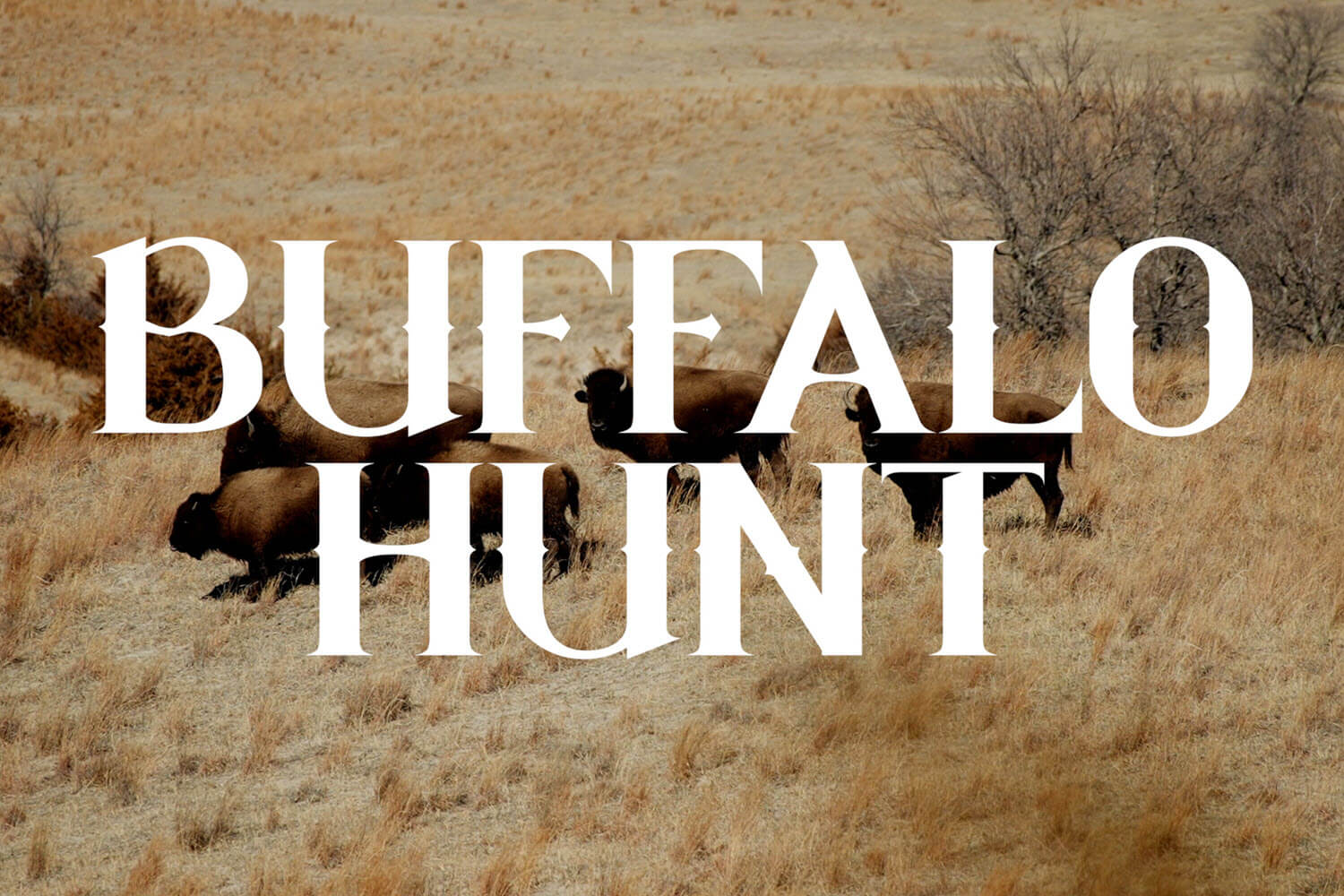 Magpul Buffalo Hunt