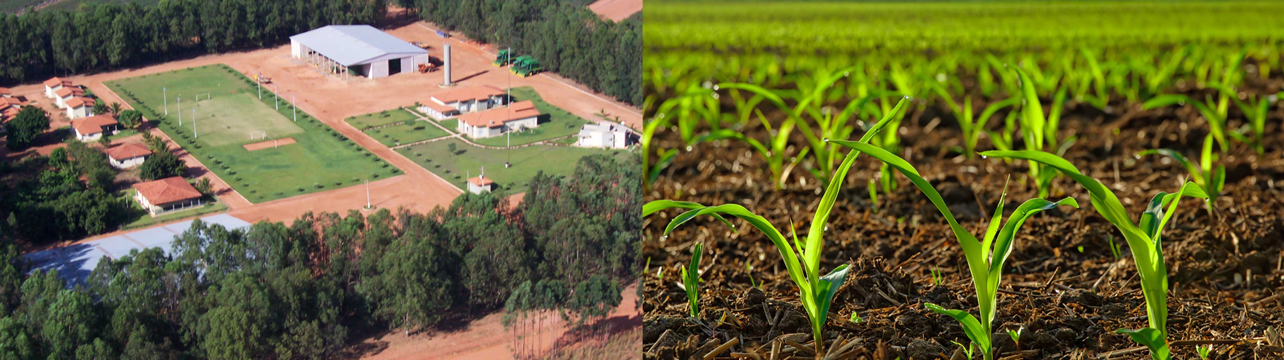 Brazil Farmland Tour CommStock Investments