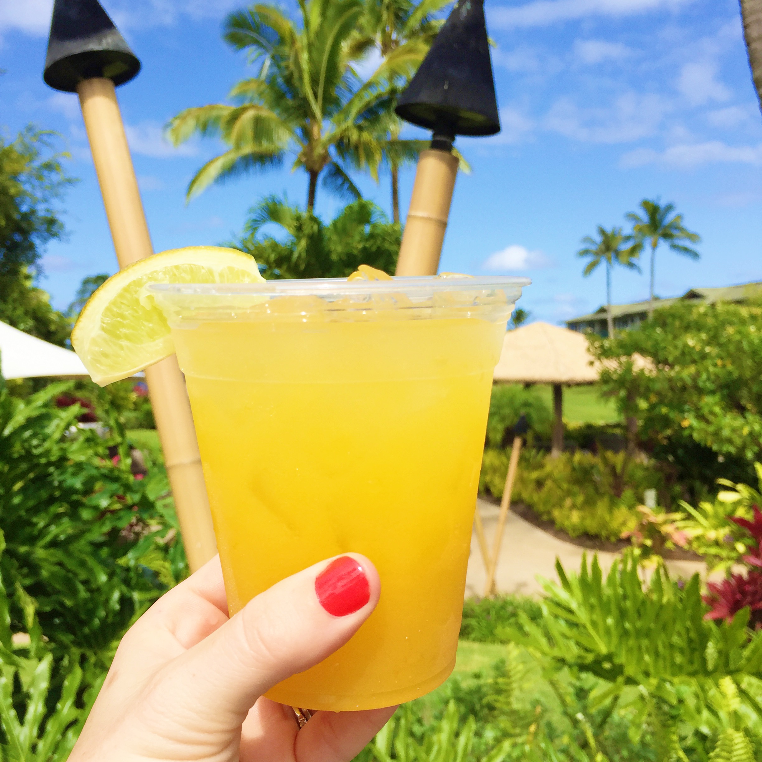 How Much Does It Cost To Live In Hawaii? Cost of Living in Paradise