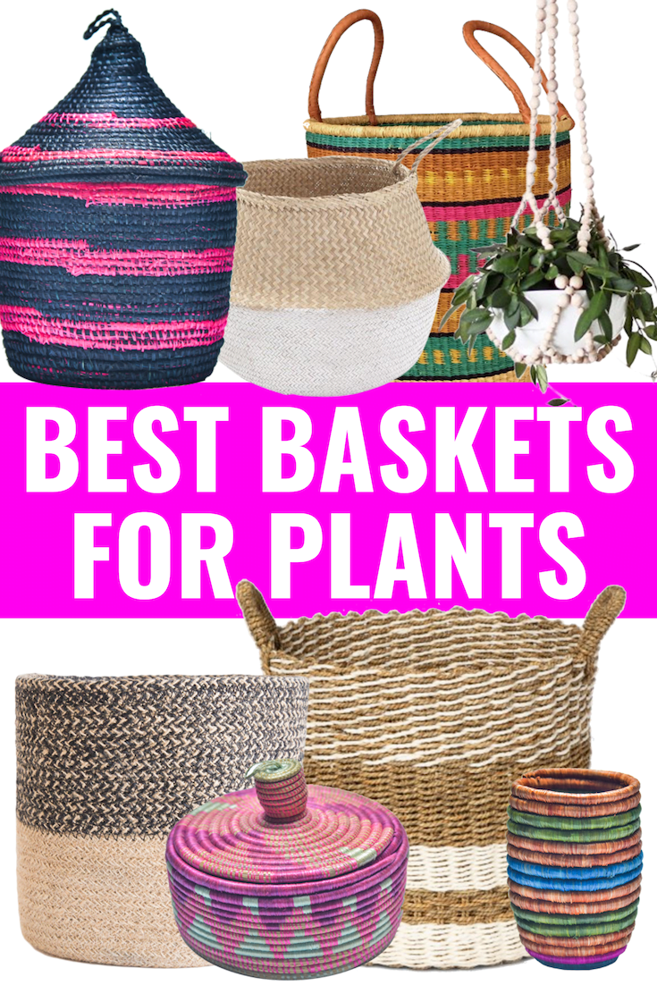 Best Plant Baskets