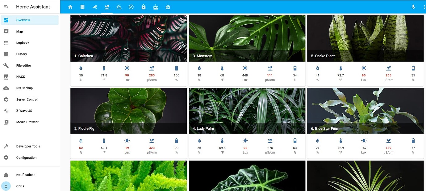 Plant moisture notification Blueprints Exchange Home Assistant
