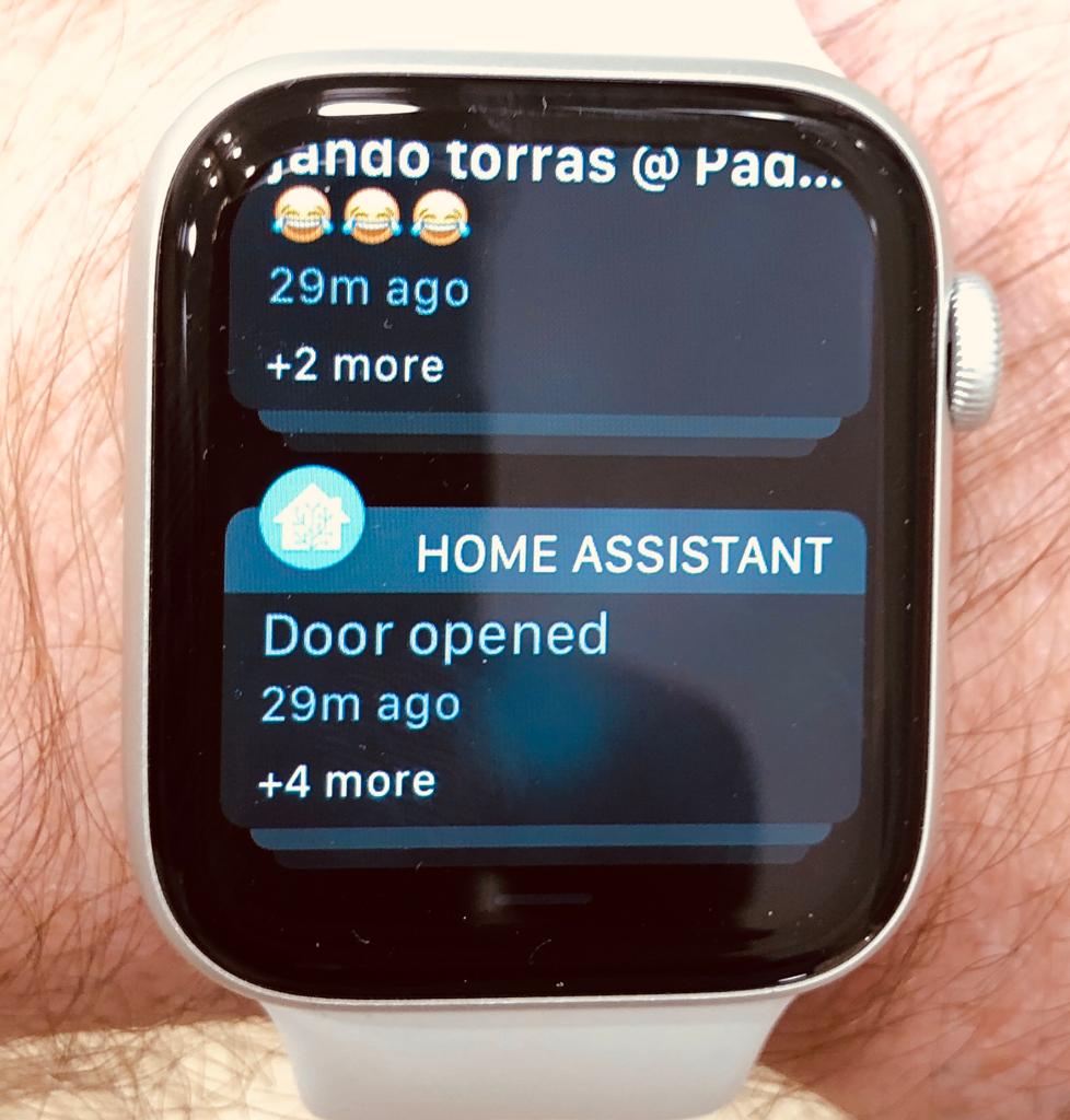 Apple Watch Actions Home Assistant Companion for Apple Home