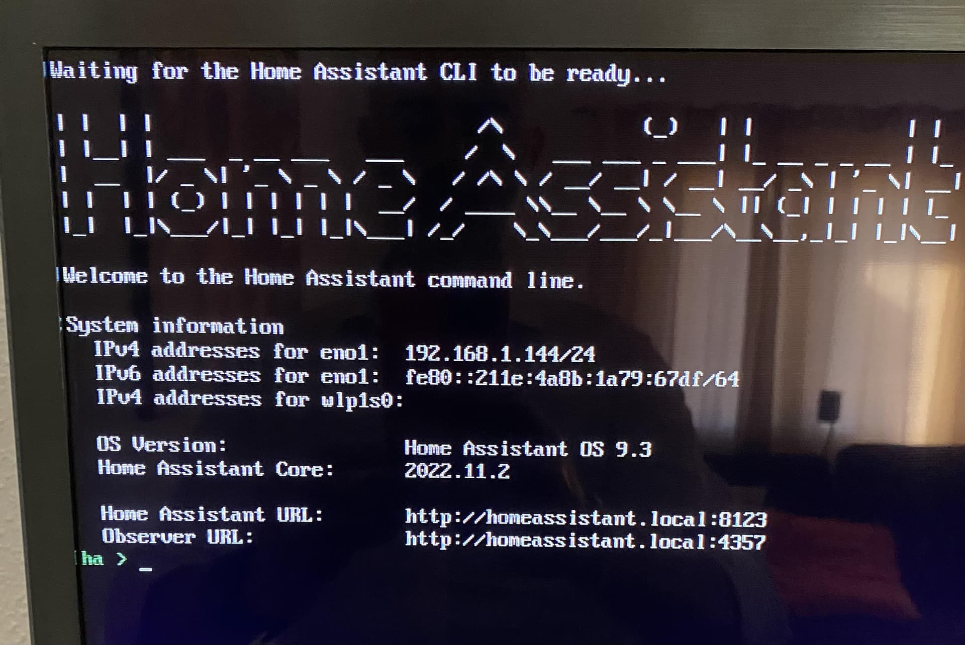 Can't connect to Home Assistant (local IP, homeassistant.local