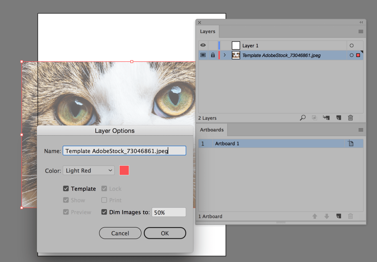 Solved Importing an image to fit Artboard Adobe Community 9170161