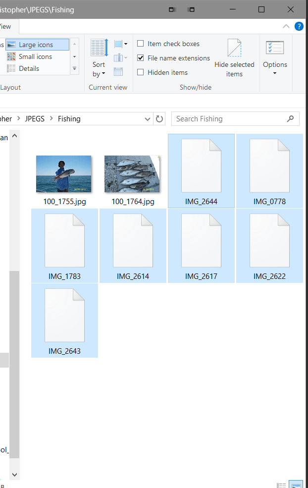 My Raw .cr2 Files Lost Their Extensions, Cannot Ac... Adobe Support