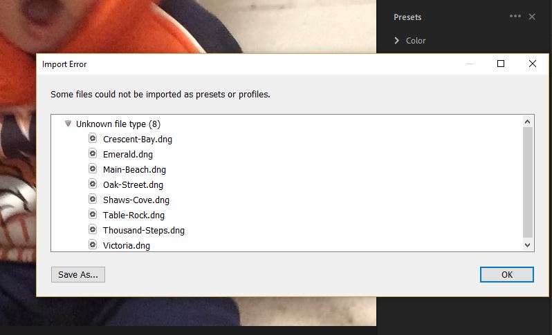 Can't Import Dng To Lightroom preset lightroom aesthetic