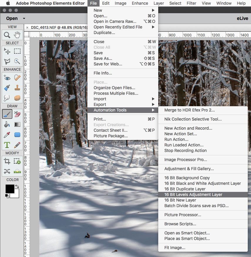 Solved Re File>Automation Tools grayed out in Adobe
