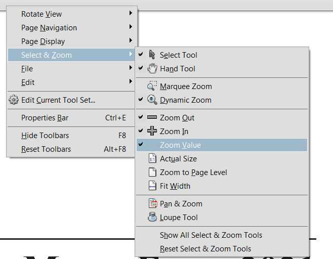 Solved Zoom value tool has disappeared from my toolbar Adobe