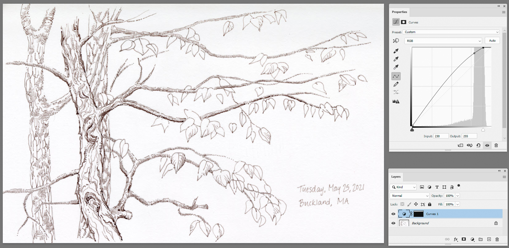 How to lighten background in only part of a pictur... Adobe Support