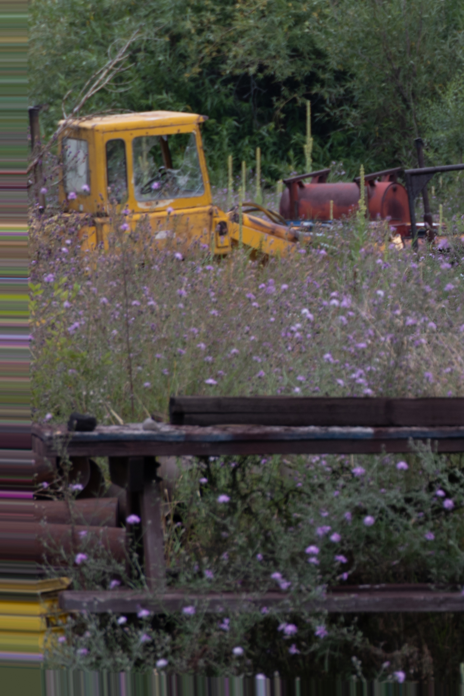 P Lens Correction Profile for Canon RF24240 exhi... Adobe Community