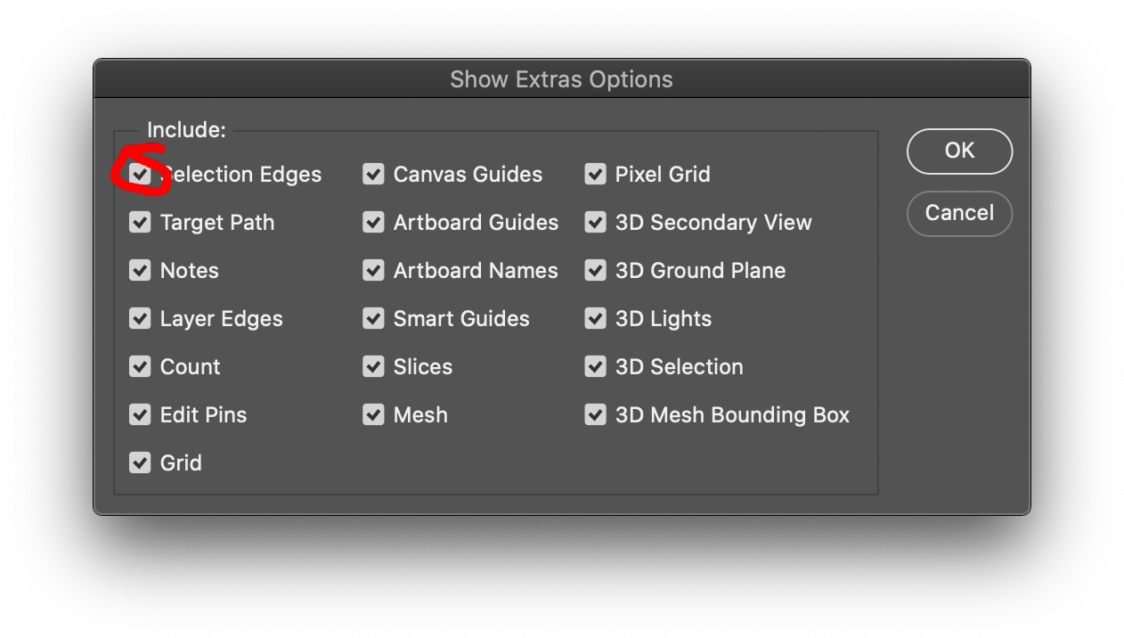 Marquee tool not working, disappears when finger i... Adobe Community