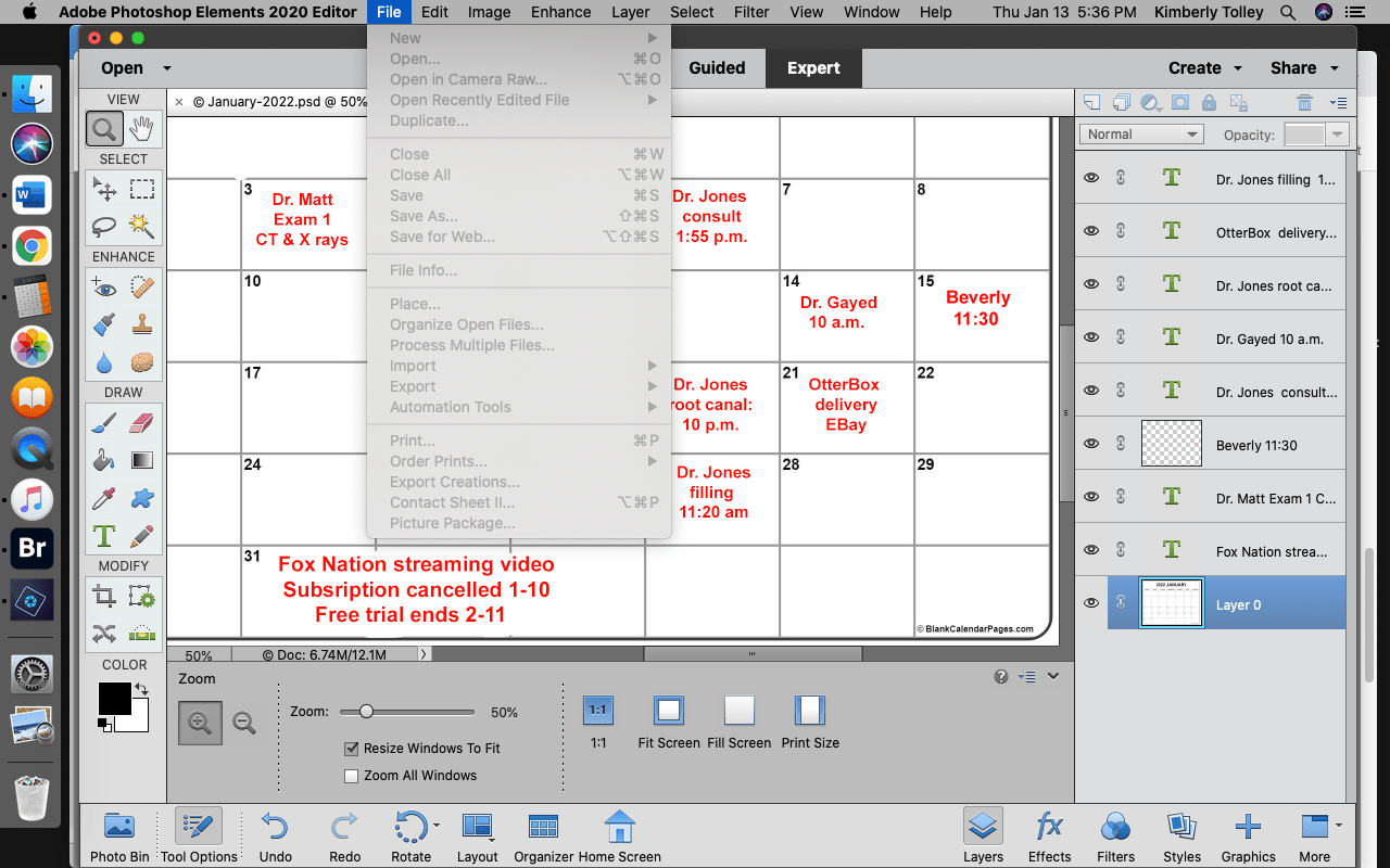 Solved Menu options greyedout in Elements 2020 Adobe