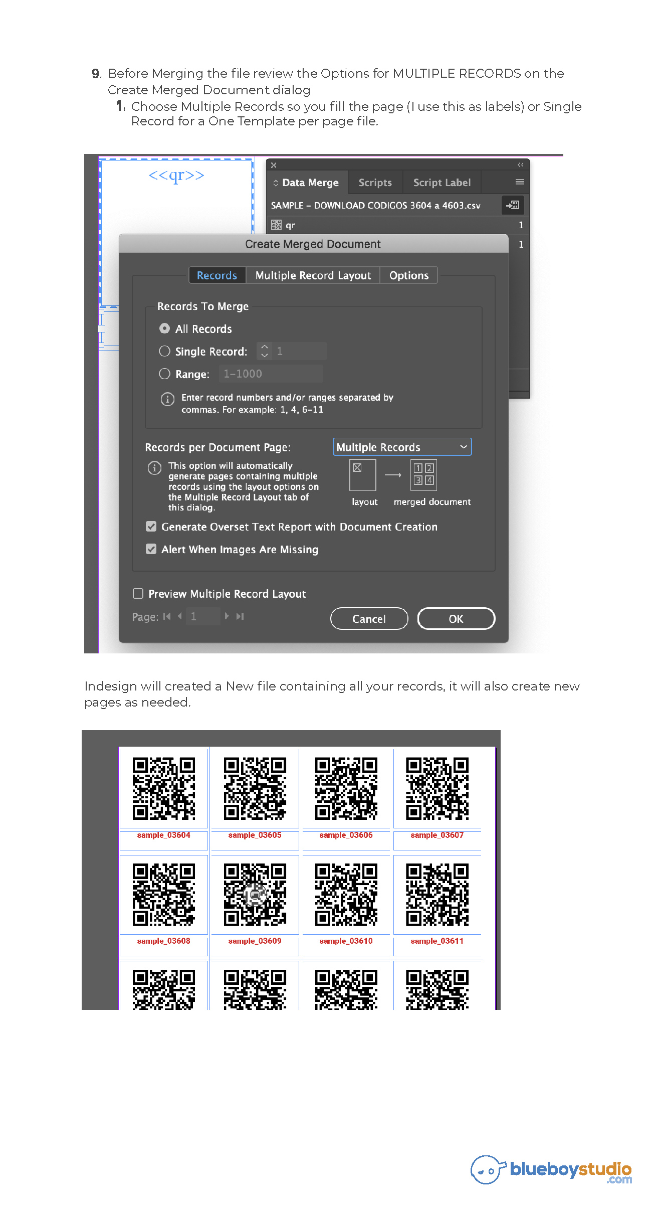 Solved Generating QR code in Illustrator Adobe Community 5355442