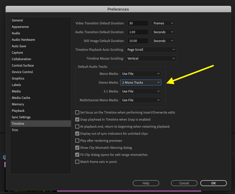 Solved import all stereo as dual mono Premiere Pro CC 201... Adobe Community 10816319