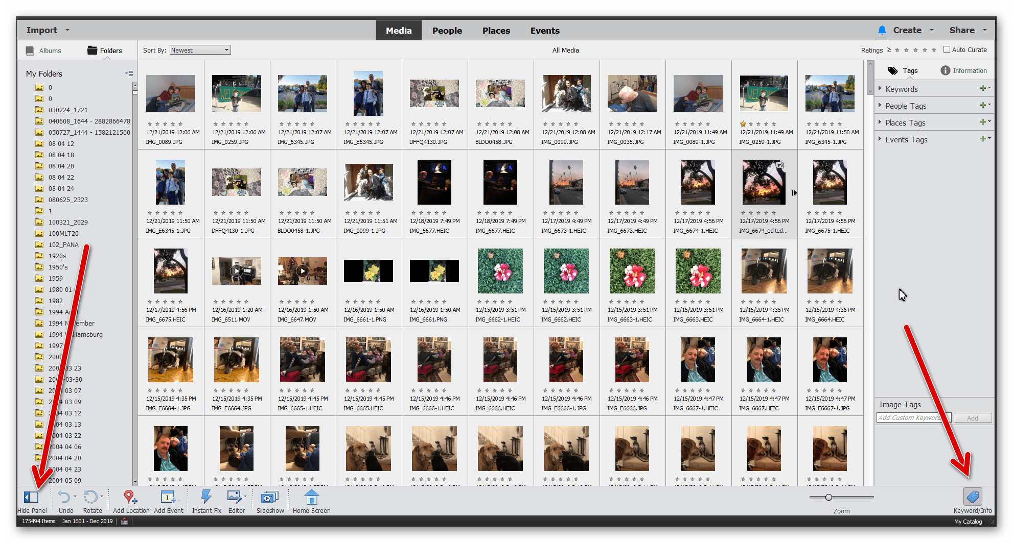 Elements 2020 Organizer needs to look li... Adobe Community