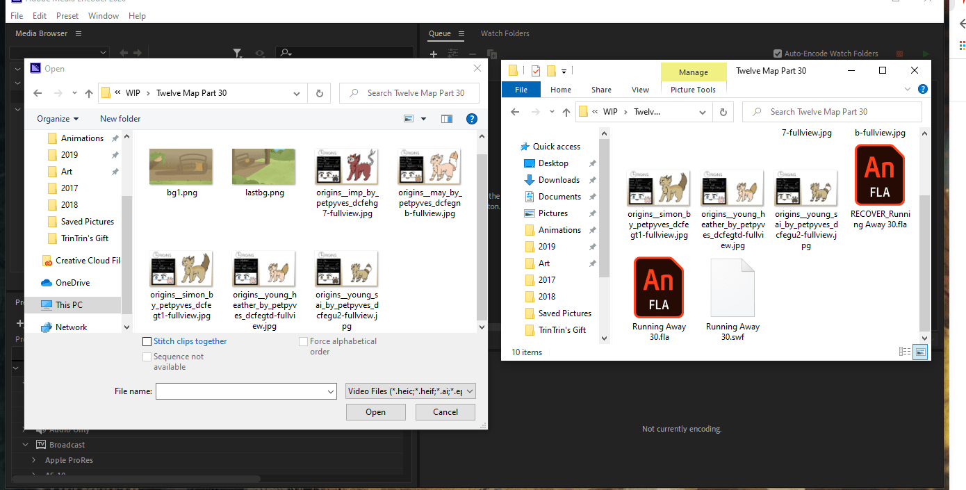 Solved Media Encoder does not recognize Animate's swf fil