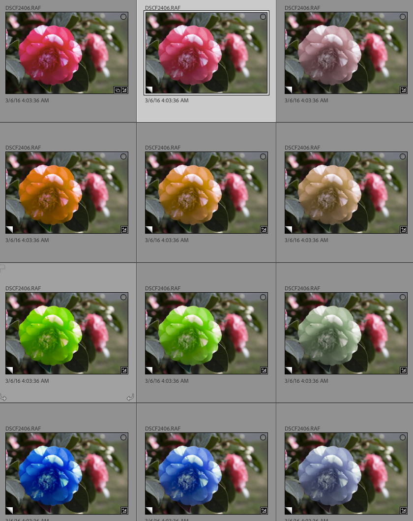 P Add Color Grading to Local Adjustments Adobe Community 12536782