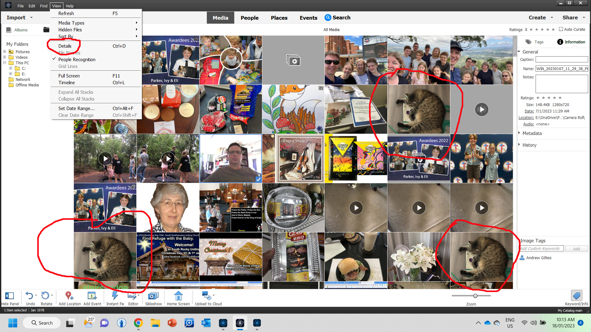 Elements organizer 2023 has Thumbnail issues (at l... Adobe Community