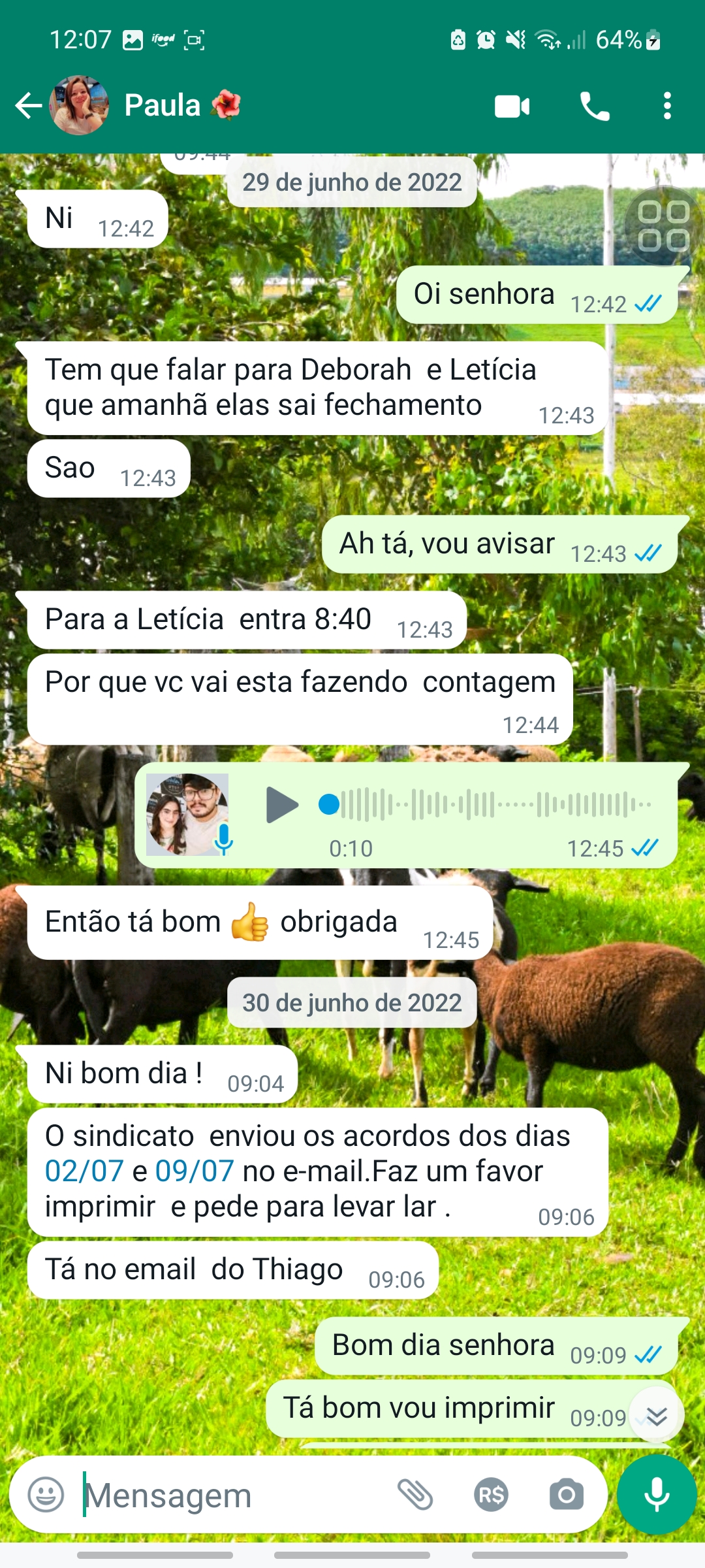 Redemption Code Error (Android) Adobe Community 13795875