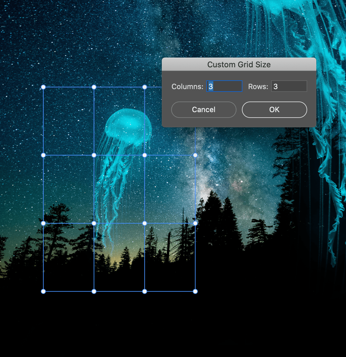 Solved How to make grid visible when using warp transform Adobe