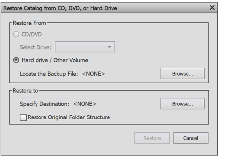 After restore to new computer, Organizer's folders... Adobe Community