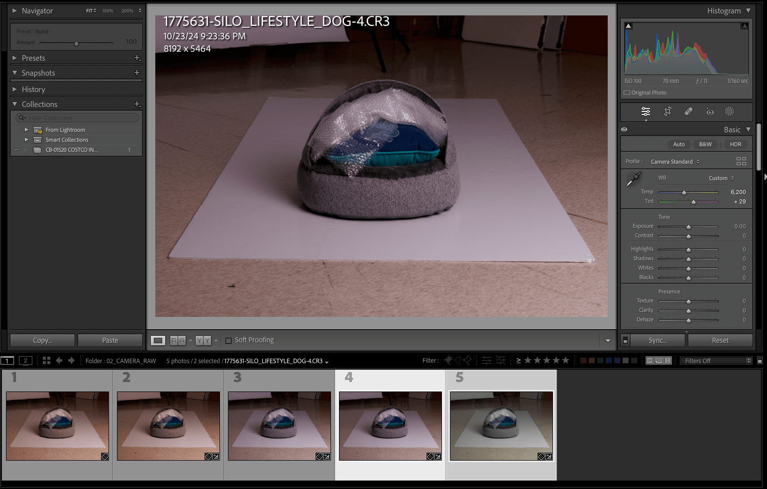 Canon R5 and Adobe Lightroom Classic Tethered Shoo... Adobe Community