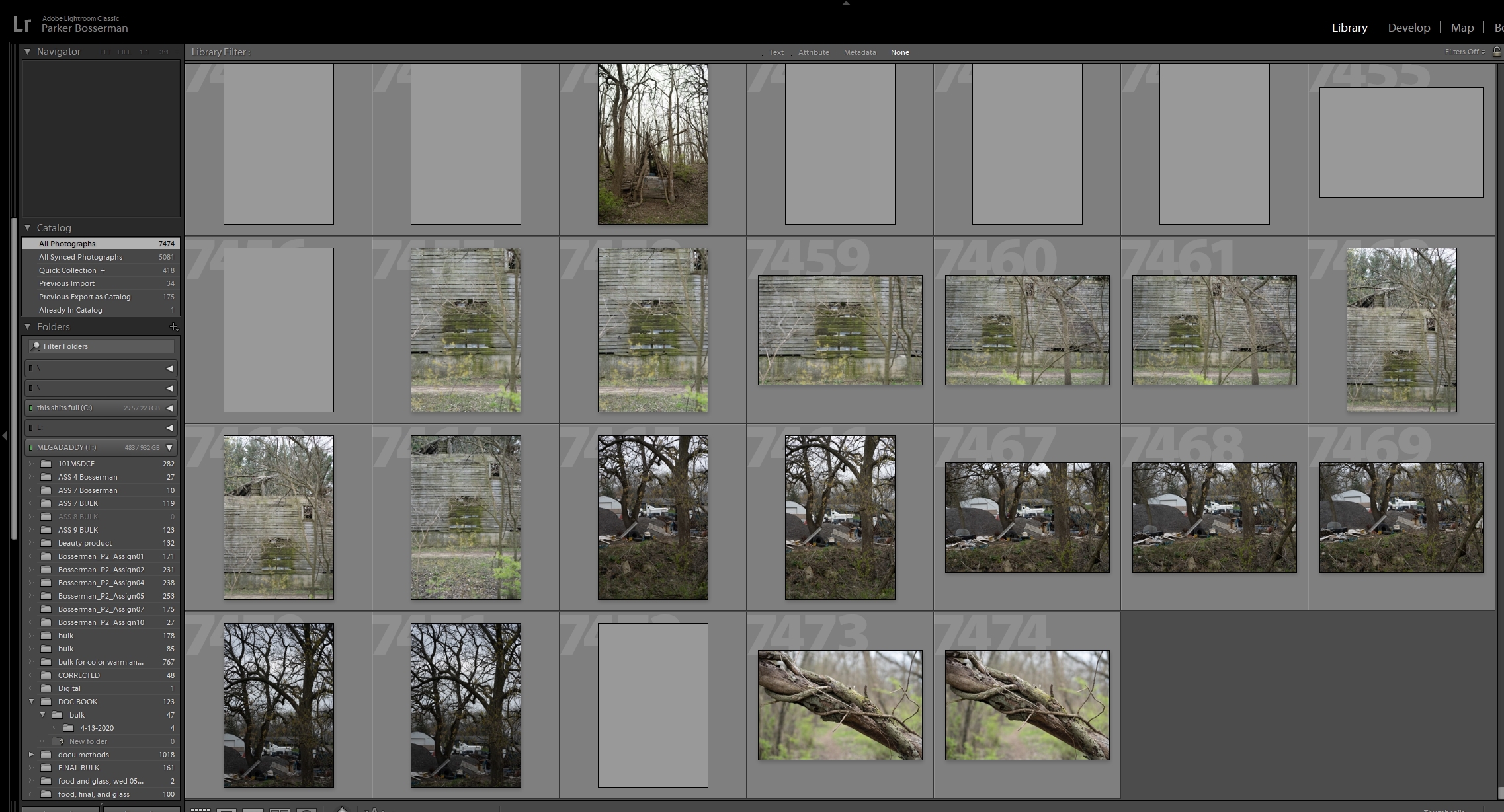 Some of the images are grayed after importing from... Adobe Community