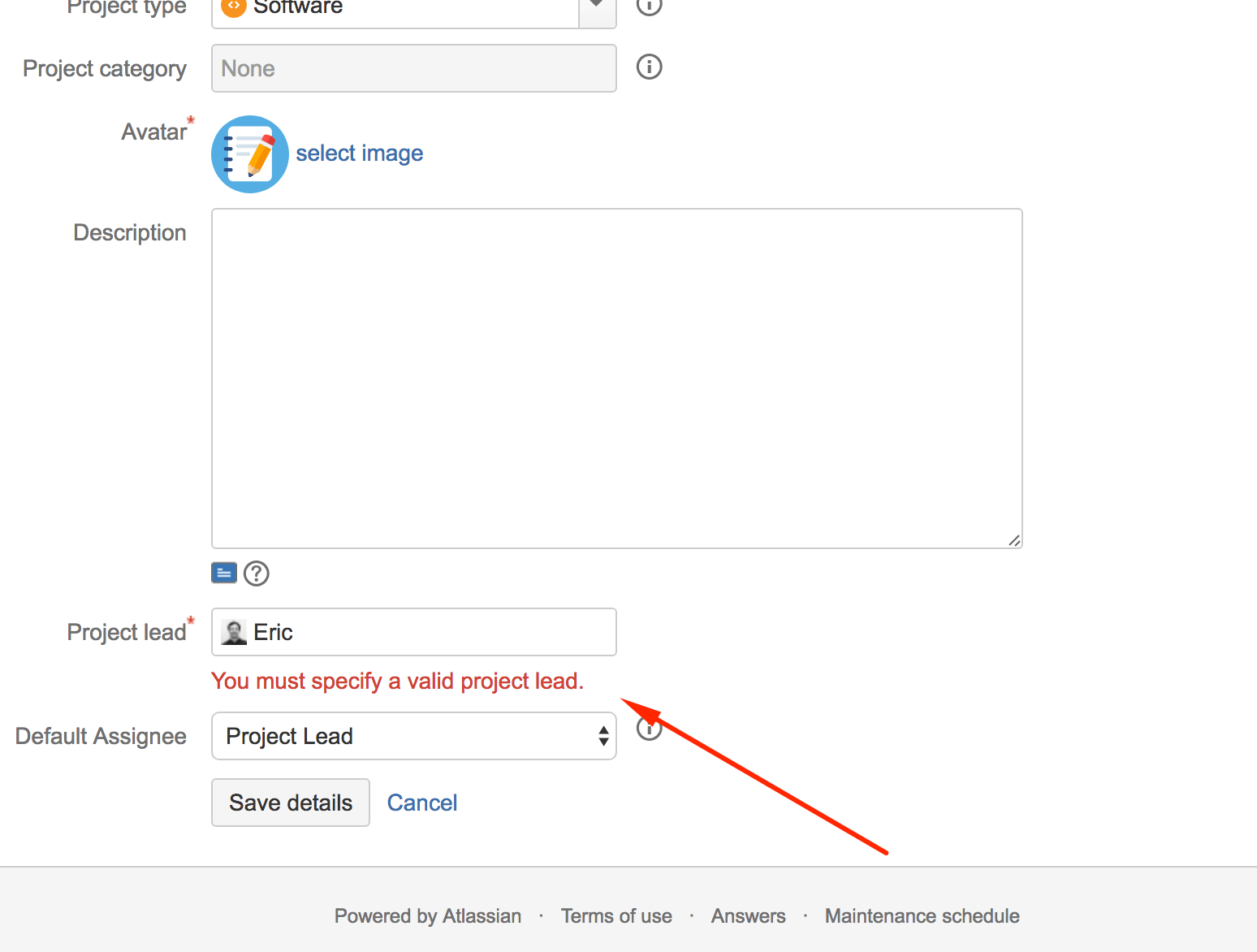 Cannot change the project lead