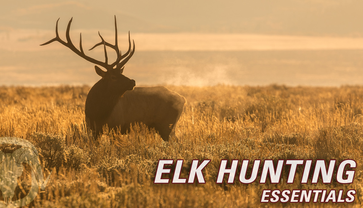 Elk Hunting Essential Gear Black Ovis