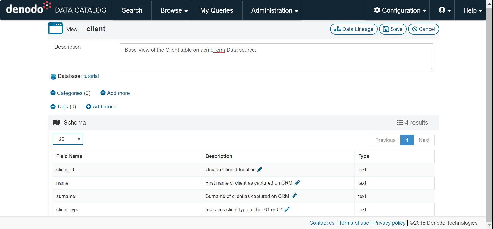 How to edit Data Catalog metadata Tags & Categories