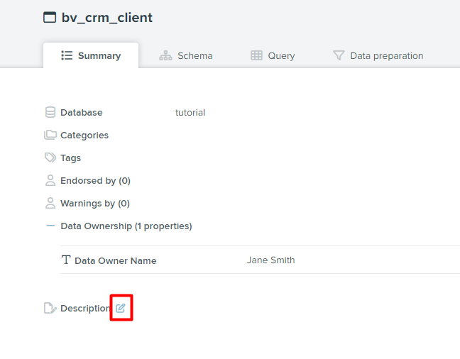 Using Denodo Data Catalog