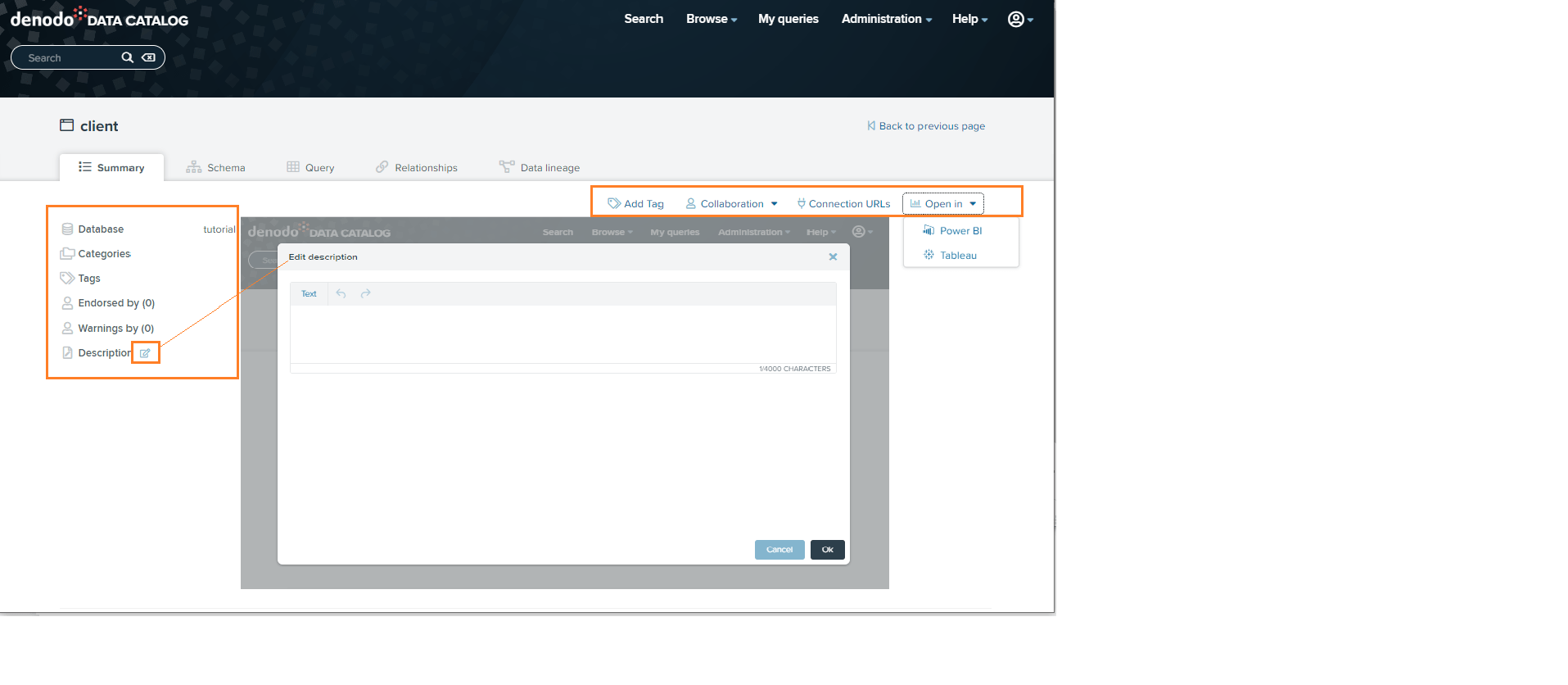 Use Denodo Data Catalog for exploring the Denodo server metadata