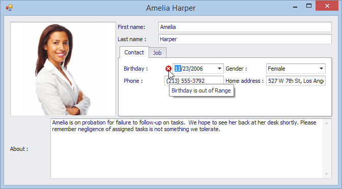 Devexpress layout control - passascale