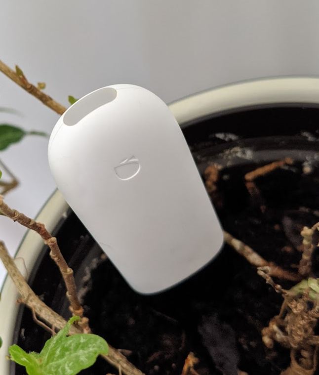 MiFlora Sensors Not Updating Anymore Configuration Home Assistant