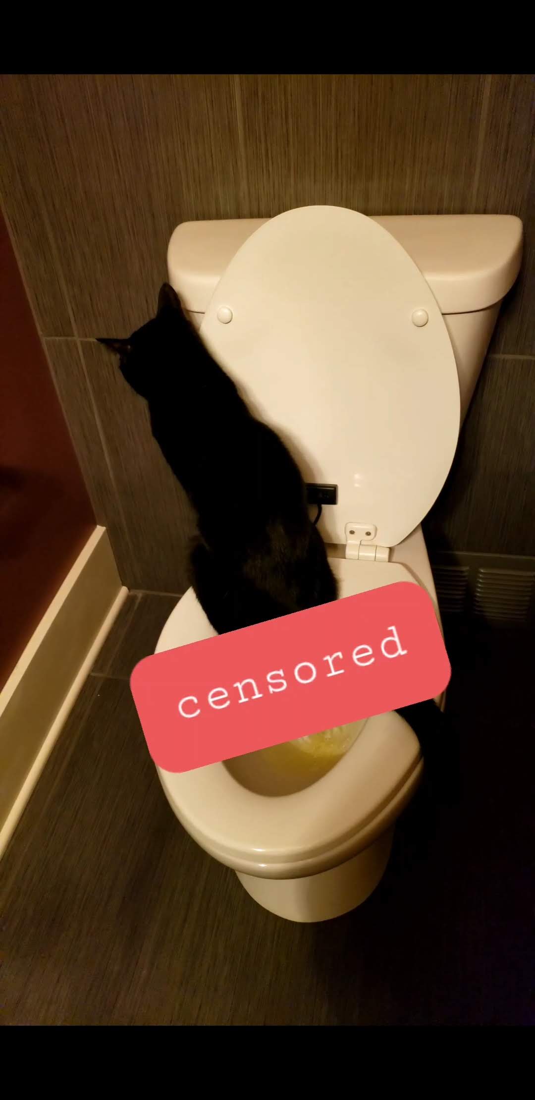 Litterbox routine 💬 Lounge Hubitat