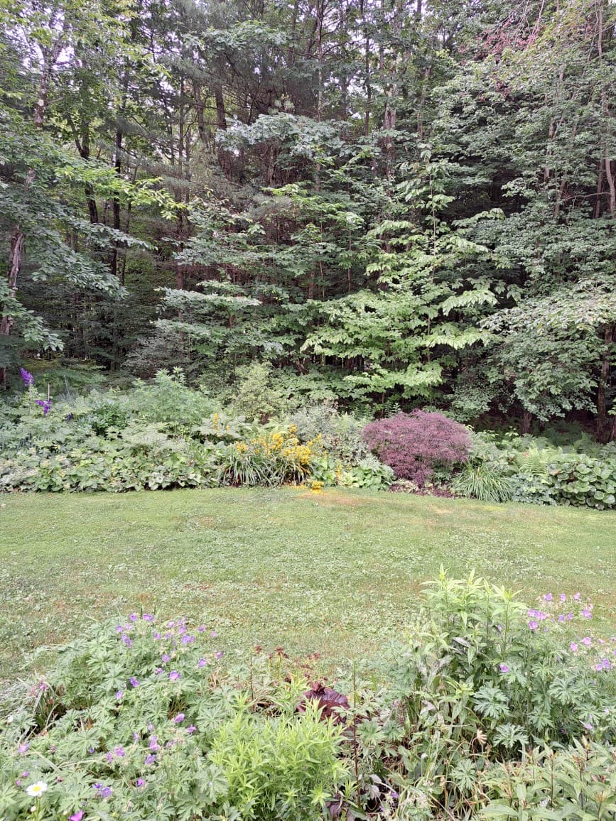 Xfinity XHS2UE Door/Window sensor Battery life Devices Hubitat