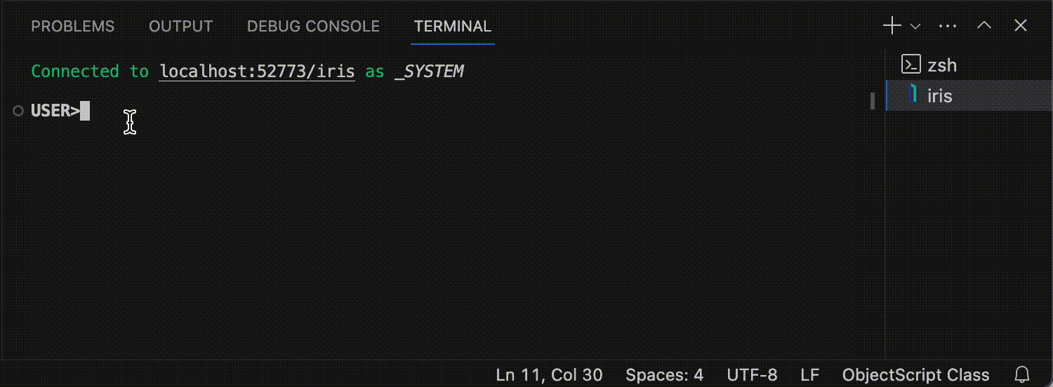 How to run ObjectScript commands in the VS Code integrated terminal