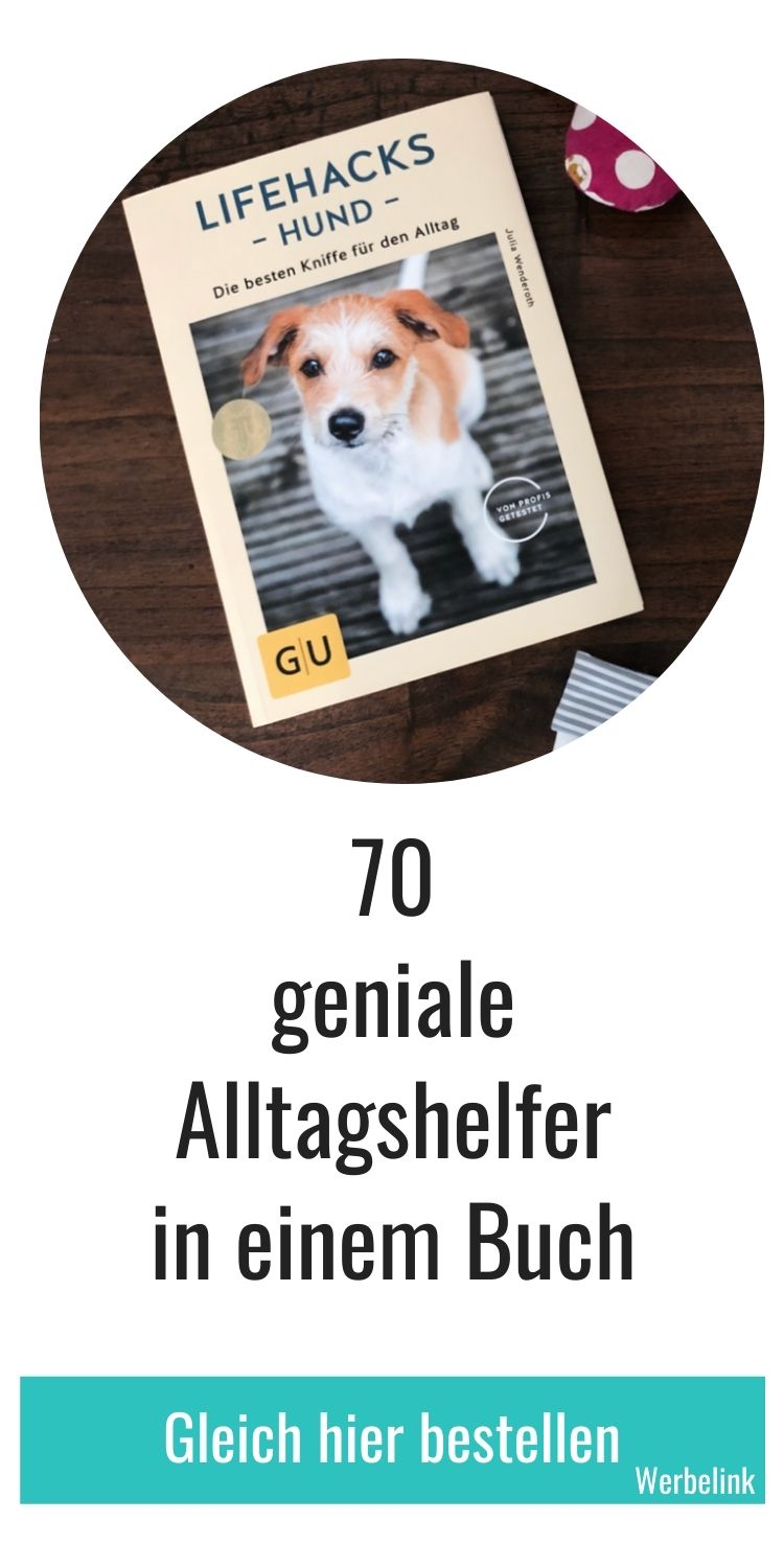42 Geniale Ideen Wie Du Deinen Hund Beschaftigen Kannst