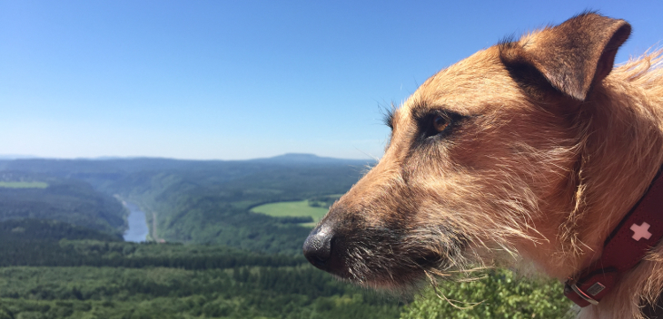 Wandern im Elbsandsteingebirge Part 4 miDoggy Community