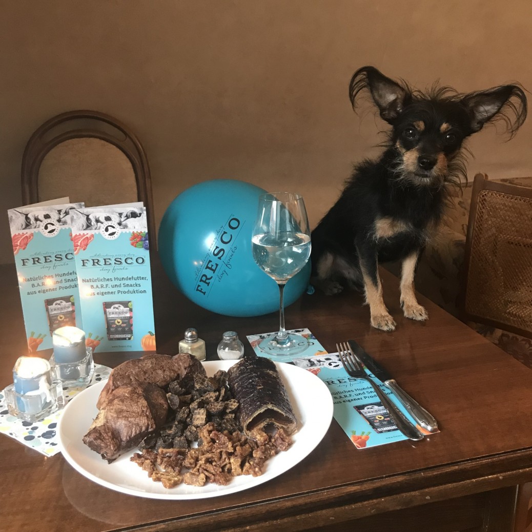 Fresco Dog Foods Ludwigs Testmonat miDoggy Community