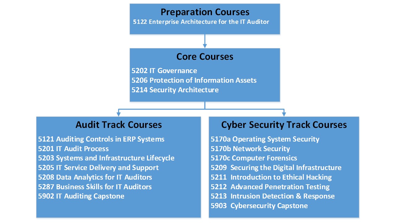 Curriculum and Courses — Information Technology Auditing and Cyber Security
