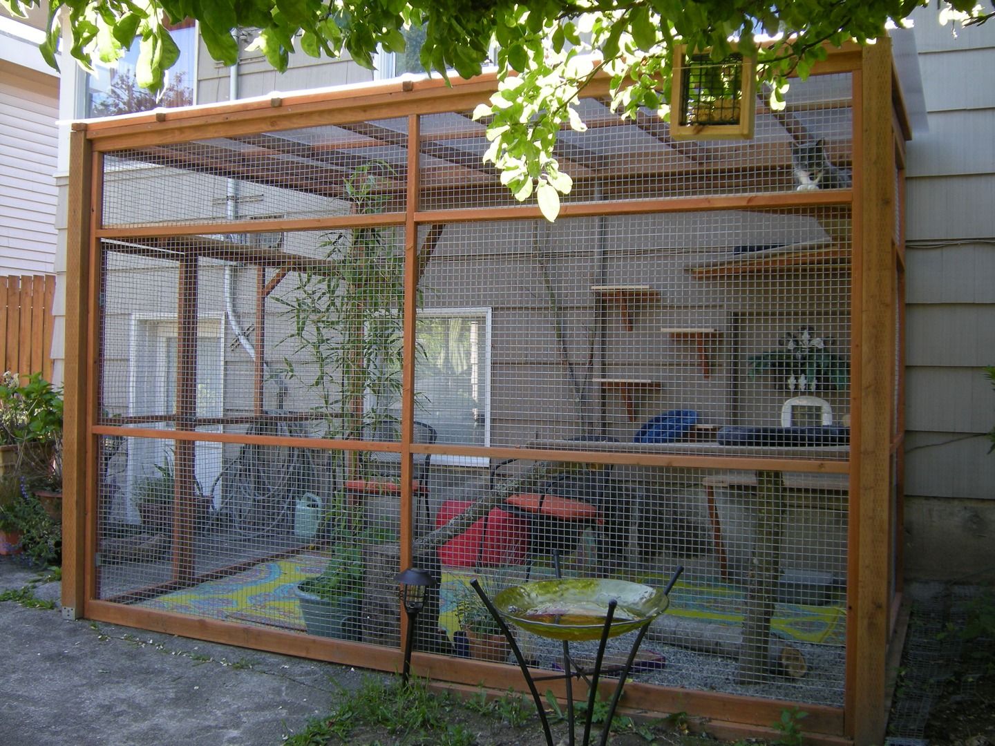 Cats And Screened In Porches Blogs & Forums